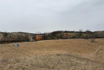 RECO , teren intravilan in Tomnatic, Vadu Crisului - 5