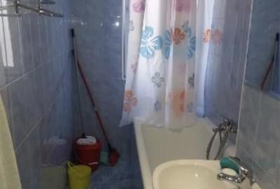 Inchiriere Garsoniera Decomandata Berceni-Cricovul Sarat - 4