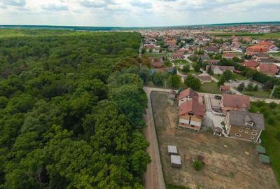 Hotel/Pensiune, de 379 mp, în Sânmartin - 8