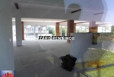 Inchiriere spatii comerciale in Cocorastii Colt, jud. Prahova - 14