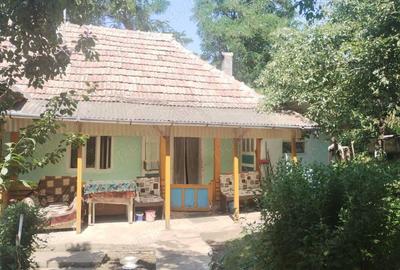 Casă cu 3 camere cu Teren 1400 Mp în Central - 7