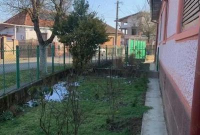Casă cu 3 camere cu Teren 713 Mp în Lugoj - 9