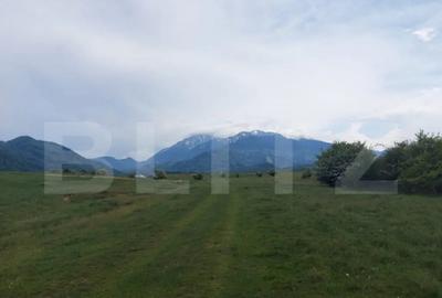 Teren de 10000 mp, în Central - 7