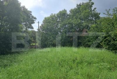 Teren Intravilan 2861 Mp Zona Tureni - 1