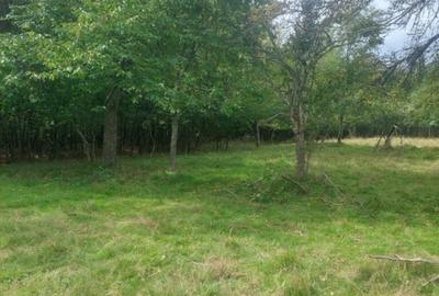 Teren 15826 mp + padure 1 ha - 3