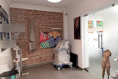 SPATIU PENTRU BIROURI, REZIDENTA SAU CLINICA CISMIGIU - 2