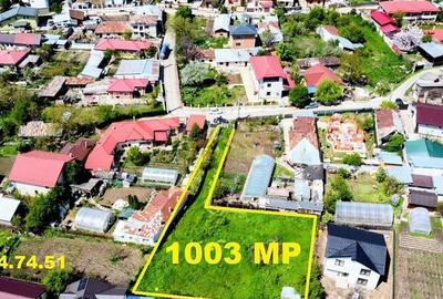 Teren perfect pentru dezvoltatori - comuna Berceni - 1