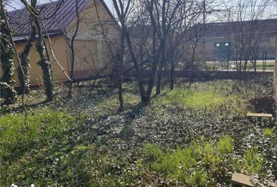Casă cu 3 camere cu Teren 542 Mp în Borș - 12