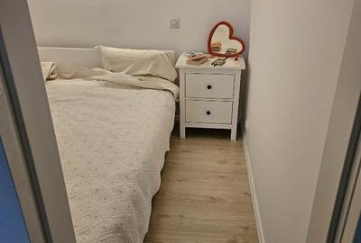 Garsonieră decomandată, mobilată în Banu Manta - 10