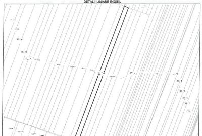 Cota de 1/4 din teren loc. Amarastii de Jos, Jud Dolj - 12