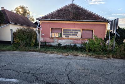 Casă cu 2 camere în Central - 4