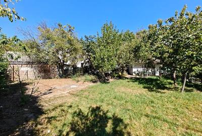 VANZARE TEREN MANGALIA - 15