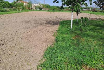 Casă cu 3 camere cu Teren 2877 Mp în Bethausen - 4