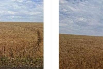 Teren Extravilan Pribesti, ID: R2774827 - 2