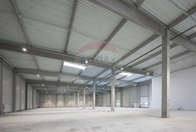Hala de vanzare, Sc 7014mp, Zona Biharia - 9