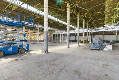 Spatiu depozitare zona Pantelimon Obor - 6