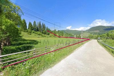 Teren Intravilan Dorna Arini, curent, apa, asfalt - Vatra Dornei - 3