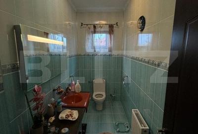 Casa de vanzare cu 6 camere, 480 mp, zona Vetis - 10