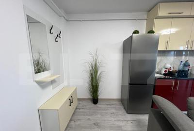 Apartament cu 2 camere semidecomandat în Cetate - 6