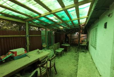 Casa batraneasca la Buzeni - 4