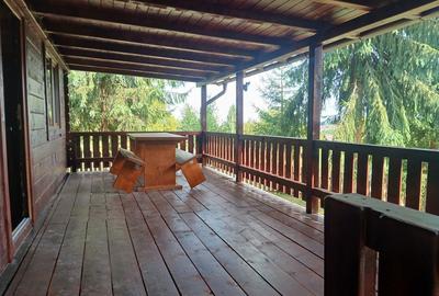 Casă cu 4 camere în Beliș - 4