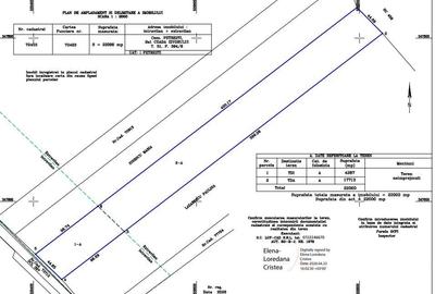 Teren Construcții intravilan de 22000 mp, în Petrești - 7