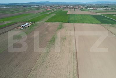 Teren de 17700 mp, în Central