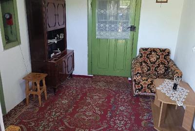 Casă cu Teren 1520 Mp în Frăsinet - 2