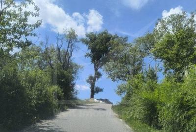 Casa de vacanta, cu lac, 5640 mp teren, Huta, com. Chiuiesti, jud. Cluj - 12