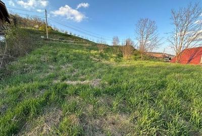 Spațiu comercial, în Cuștelnic - 7