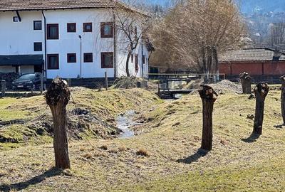 Teren de 10660 mp, în Bran - 12