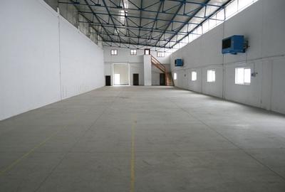 Hala cu birouri, acces TIR - 4