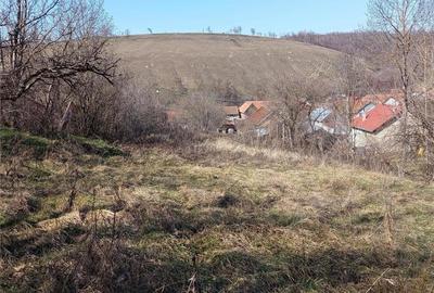 Casă cu 2 camere cu Teren 1439 Mp în Brădișoru de Jos - 6