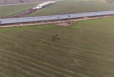 Teren Construcții intravilan de 29777 mp, în Ștefăneștii de Jos - 2