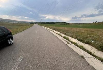 Teren de 12600 mp, în Siliștea - 2