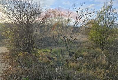 Teren intravilan 900mp Isalnita - 2