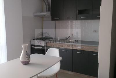 Apartament cu 2 camere decomandat, mobilat în Valea Lupului - 4