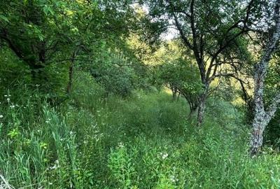 Teren zona turistica Rosia - 6