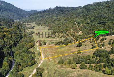 Teren agricol extravilan de 5300 mp, în Cheile Râșnoavei - 1