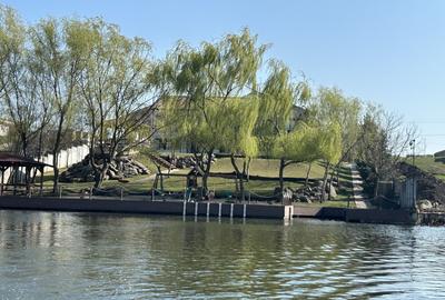 Conac lac Snagov cu ponton - 52