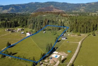 Teren de 9685 mp, în Neagra - 14