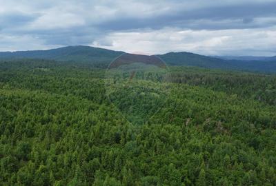 Teren Construcții intravilan de 8119 mp, în Călățele - 6