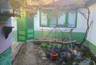 Vand casa Socolari Vand casa Socolari - 5