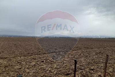 Teren agricol extravilan de 7150 mp, în Glăjărie - 3