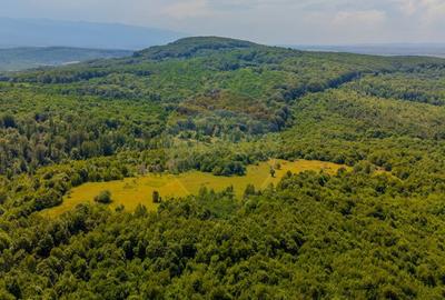 COMISION 0% Teren Grid/Inima Naturii/ Oportunitate de inv... - 7