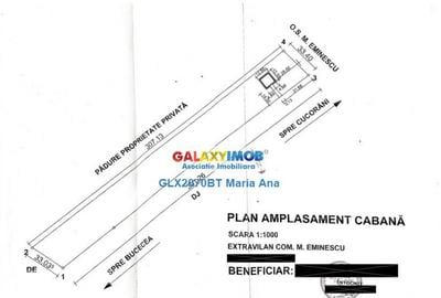 Teren Padure 6.500 mp., la strada, zona Cucorani! - 4