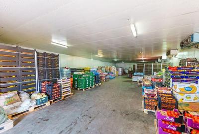 Depozit frigo de inchiriat in Sacalaz - 13