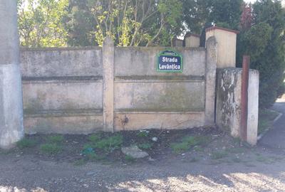 Teren în Cornetu - 16