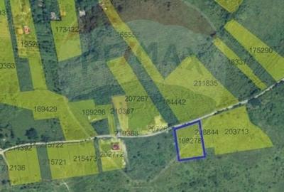 Teren Construcții intravilan de 3100 mp, în Dealuri Oradea - 4