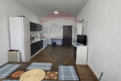 Casa de Vis la Macea - Complet Renovata si Gata de Locuit! - 4